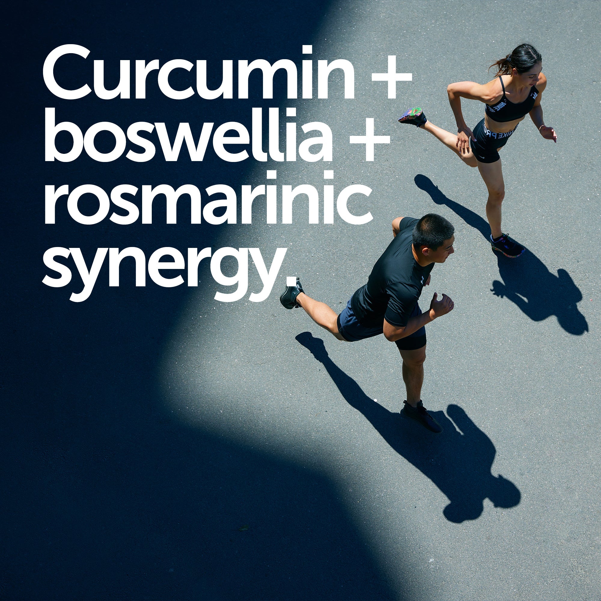 Curcumin + High Strength Joint Formula
