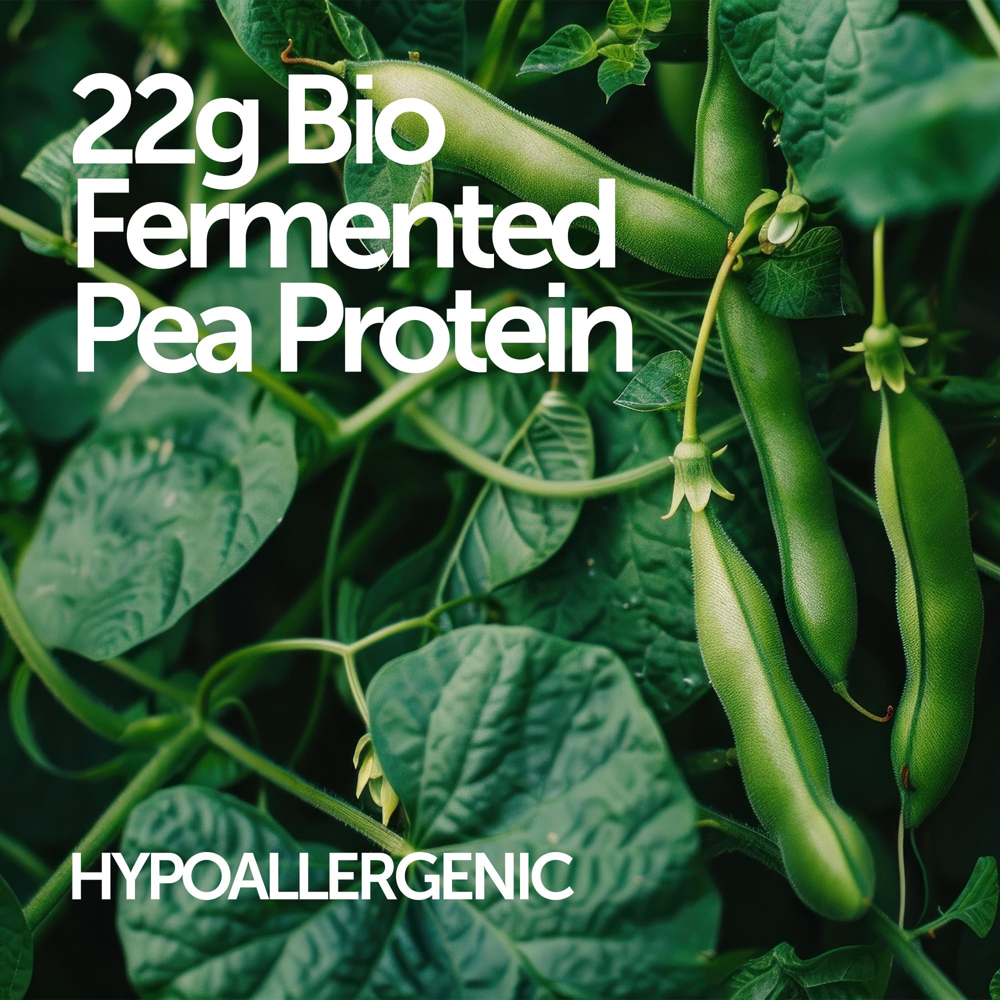 Delicious Protein Shake