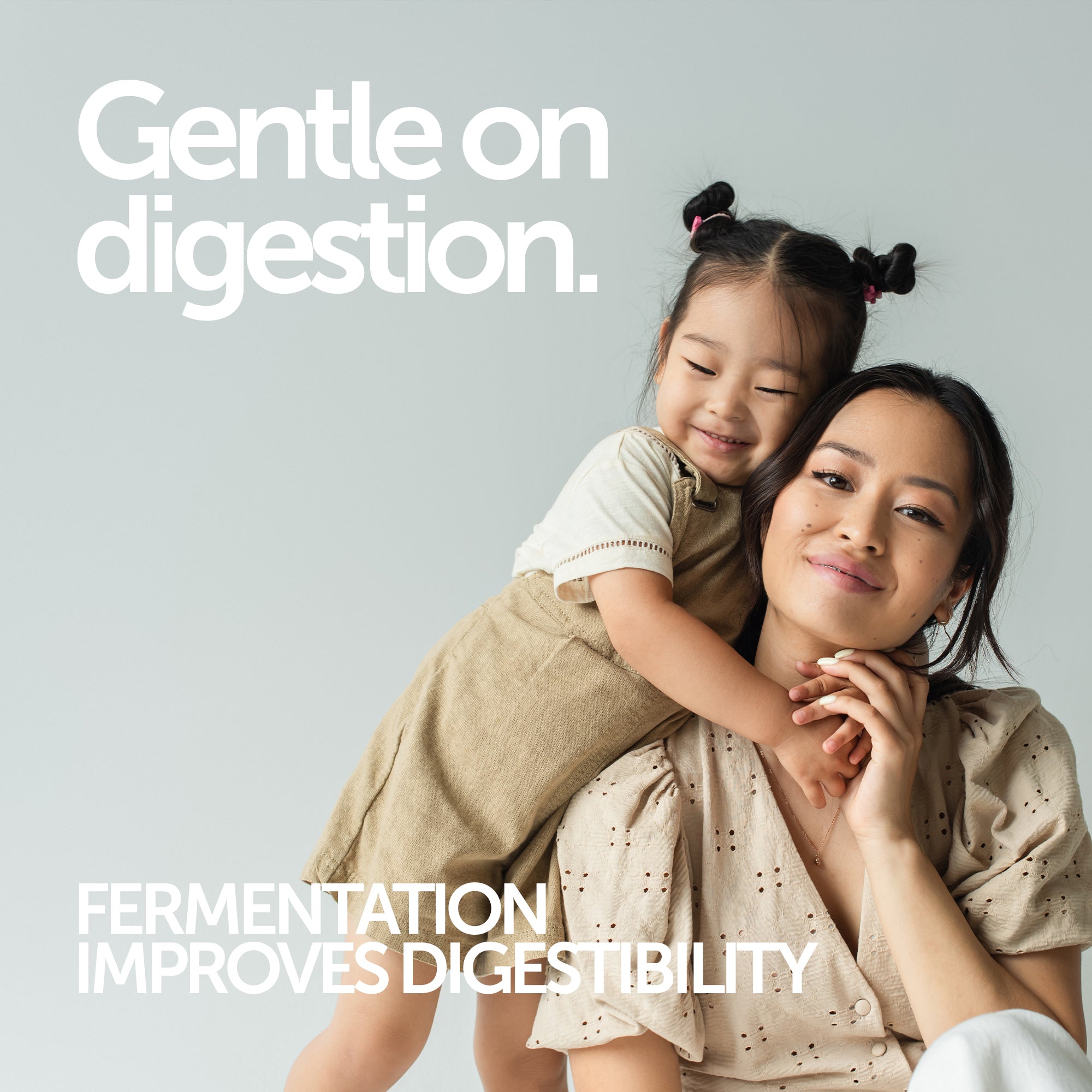 Fermented Pea Protein 1KG