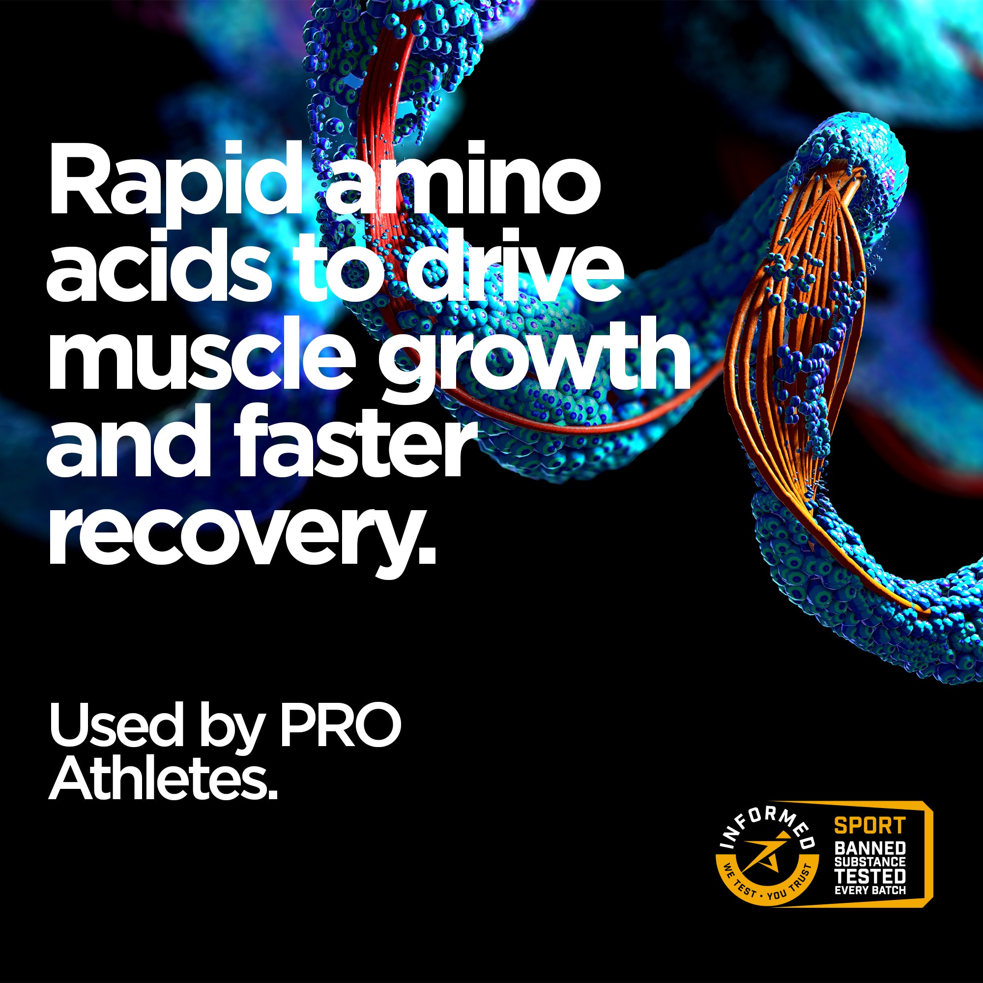 Elite Repair Protein Powder