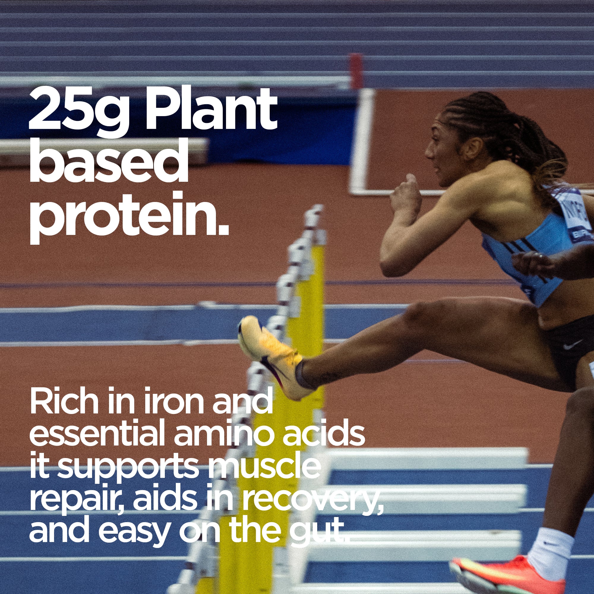 Elite Repair Protein Powder