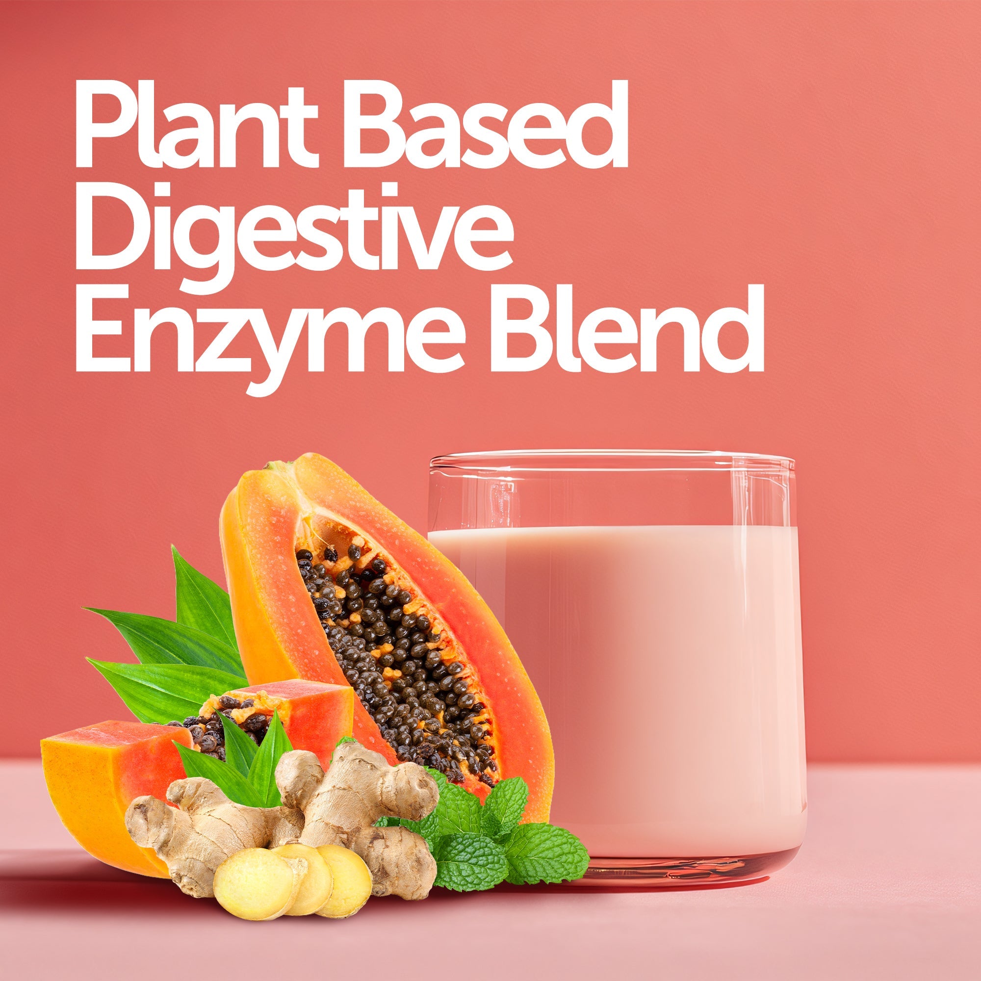 Premium Blend Protein Powder